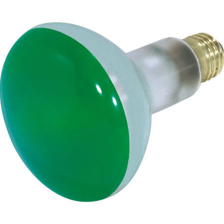 Satco S3227 75W 130 Volt Green BR30 Medium (E26) Bulb